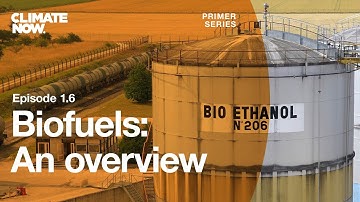 Biofuels: An overview | Climate Now Ep. 1.6