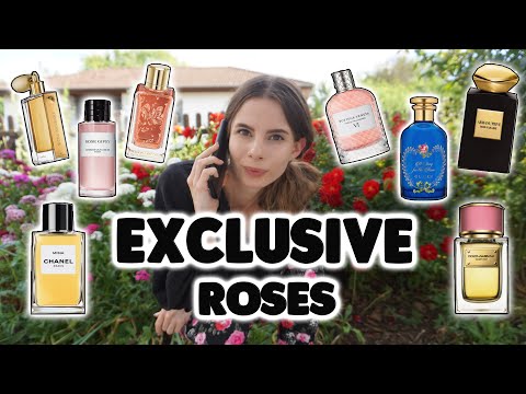 COMPARING TOP 15 ROSE PERFUMES FROM EXCLUSIVE & PRIVATE COLLECTIONS OF DESIGNER & NICHE BRANDS