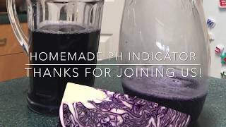 pH Indicator from Red Cabbage - 2 Ways! Profile