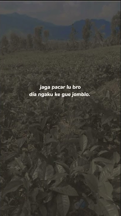 Story wa|| jaga pacar lu bro dia ngaku ke gue jomblo😂✨