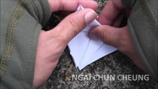 Saint Thomas Origami, Part D16E22