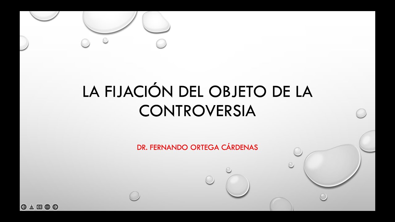 El objeto de la controversia en el proceso contencioso administrativo
