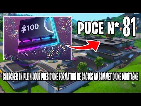 puce-decryptage-81-chercher-en-plein-....-cactus-au-sommet-d’une-montagne-fortnite