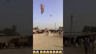 Jab Aasman Se Log Girne Lage 😱 | #shorts #ytshorts #trending