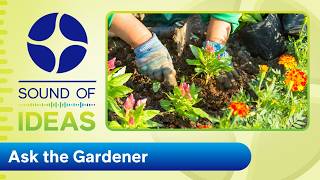 Northeast Ohio gardeners answer questions | Sound of Ideas