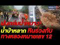 ฝนถล่มน้ำหนาว! น้ำป่าหลาก-หินร่วงทับเส้นทางหลวงหมายเลข 12 ชี้ยังสัญจรได้ปกติแต่ต้องระวัง