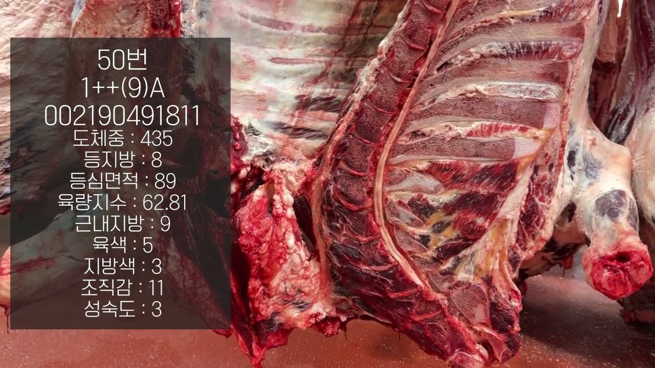 민속친한우 온라인 부분육 경매 지육 002190491811