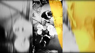 GREAT ESCAPES - Flickering Lights (OFFICIAL)
