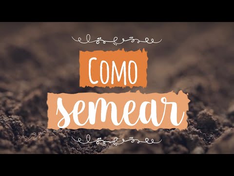 Vídeo: Como cultivar Schizanthus a partir de sementes em casa