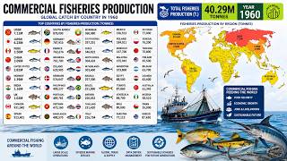Top Countries with the Largest FISH PRODUCTION in the World