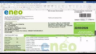 Cameroon ENEO electricity utility bill template in Word and PDF format (current version)