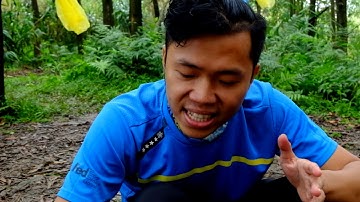 Lọc nước công nghệ cao bằng bông gòn