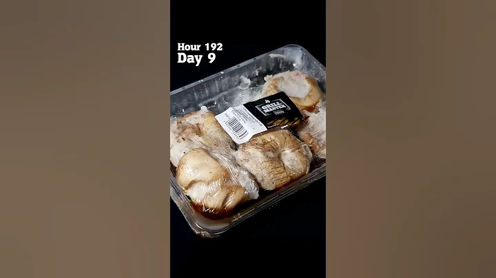 Pet mold meets mushroom