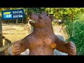 Black Forest Child's Bear Chair, ca. 1900 | ANTIQUES ROADSHOW Social Extra