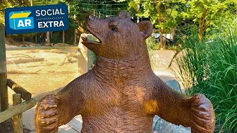Black Forest Child's Bear Chair, ca. 1900 | ANTIQUES ROADSHOW Social Extra