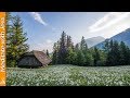 6hrs 432hz relaxing ambient music  nature sounds binaural beats theta waves