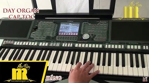 Học Đàn Organ Cấp Tốc TPHCM - MƯA RỪNG - Trung Tâm Nhạc Rừng