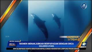 Download lagu METRO TV | Jeda Iklan OP Metro Siang