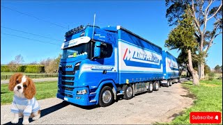 Trucking Through Pahiatua Track | Masterton to Tauranga with Teddy 🐶🚛