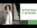 Лайфхак №55. Эстрогены у мужчин