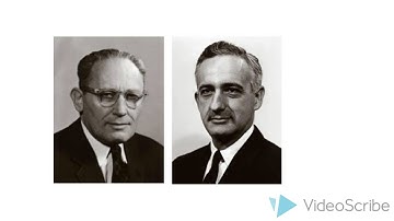 Systems Theory Thinking