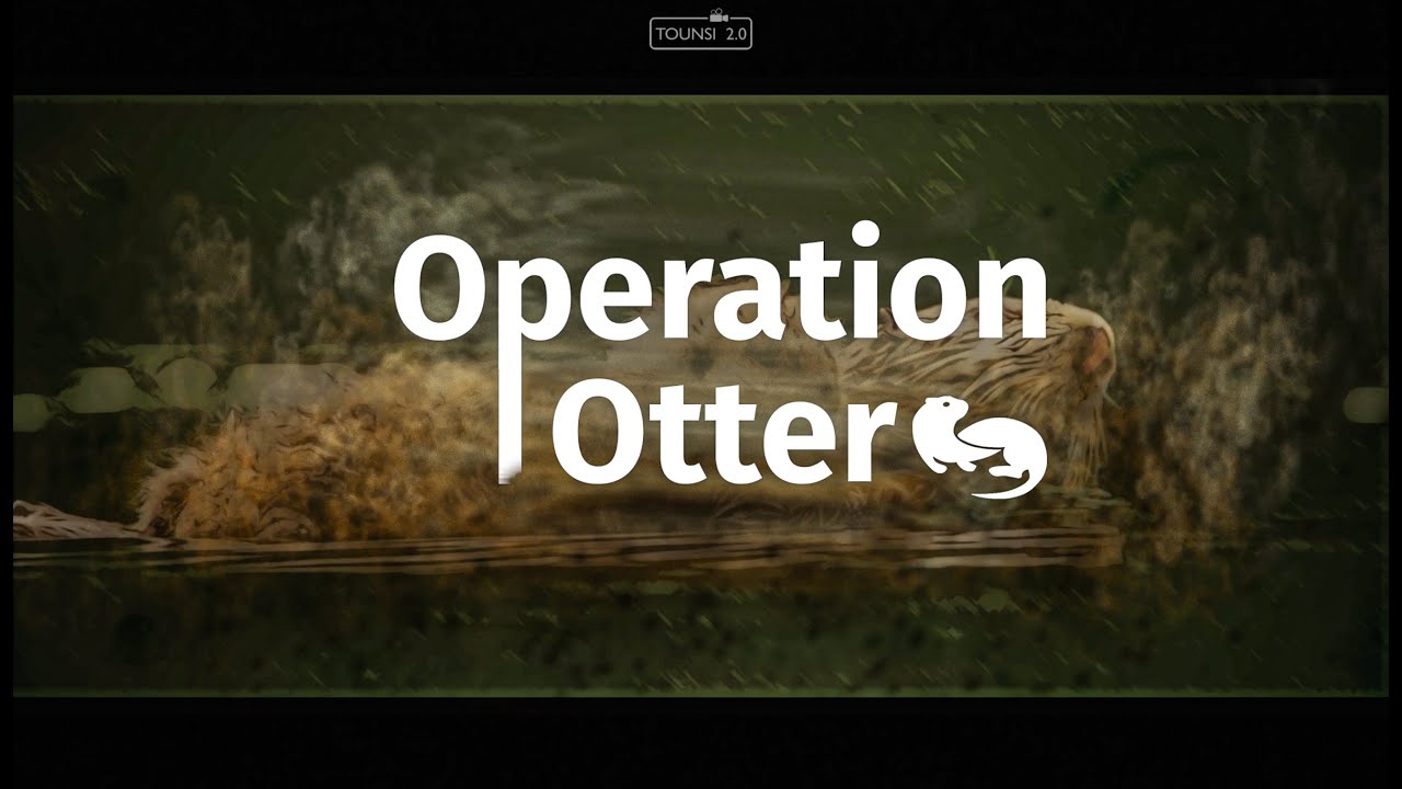 Operation Otter