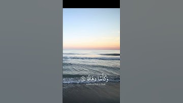 القارئ احمد الحمادي تلاوة من سورة النبأ 🍃🍃