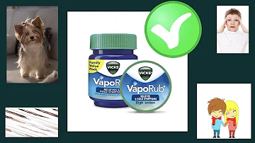 Is Vicks Vapor Rub harmful to pets?