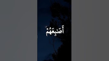 وإني كلما دعوتهم لتغفر لهم #المصحف #المنشاوي #قران_كريم #ياسر_الدوسري #سورة_نوح  #تلاوة_خاشعة