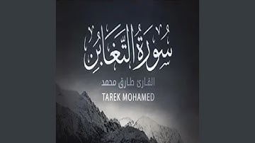 طارق محمد سورة التغابن