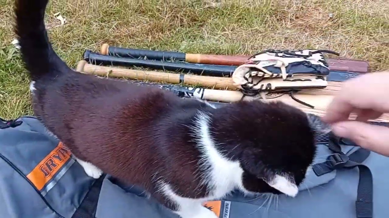 A handy way to carry baseball gear (A hockey stick bag)