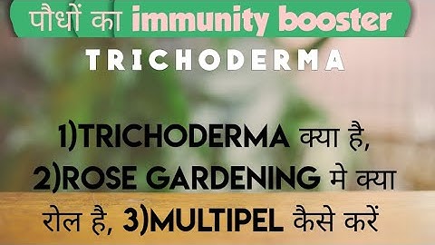 Trichoderma क्या है?I Rose gardening मे क्या रोल है?I Multipel कैसे करें?