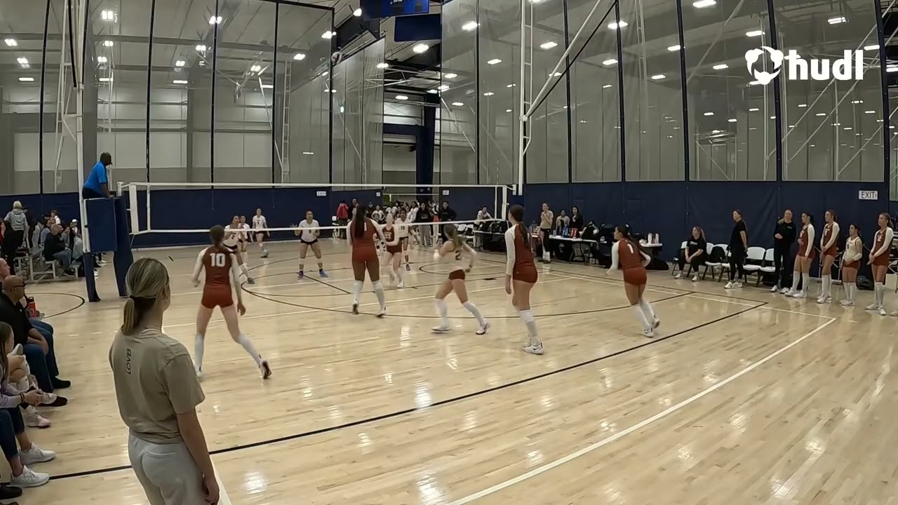 Karmynne Hazewood - NCVA Highlights