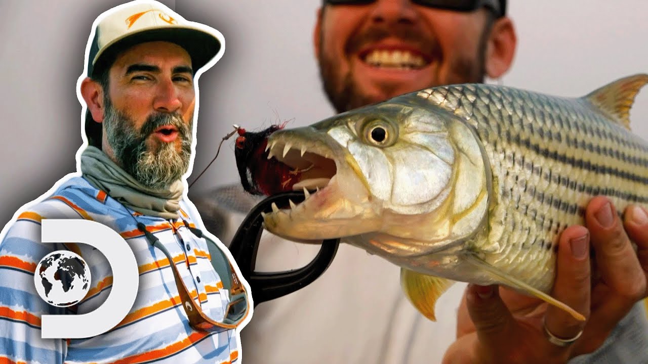 Experiences Catch & Release Tiger Fishing In Zambia