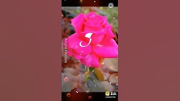 k name status video 🥀 k lover 💕 #whatsapp_status #name_status_video #ravindra_ranjan