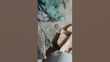 Pucking my Axe!! Camp Axe Sharpening! How to Sharpen