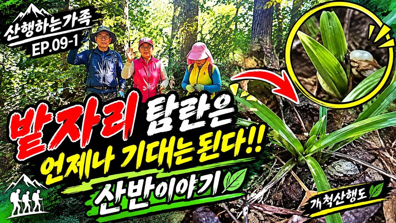 "와, 또 터졌네!" 과연 이번 밭자리 탐란에서는 어떤 명품이 기다리고 있었을까요?