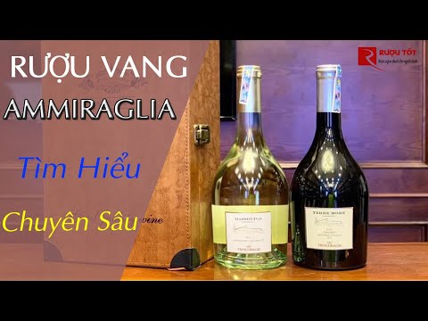 Video: 8 Chuyến tham quan rượu vang Tuscan tốt nhất năm 2022