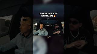 Morena Canela 🔥 #claveespecial #jop #chinopacas #corridoschingones  #streetmobrecords