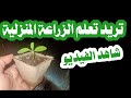 تعلم الزراعة المنزلية و العناية بالنباتات بطرق سهلة للمبتدئين قناة بذرة 