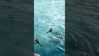 Jernihnya seperti Kaca Pulau Lelei Halmahera Selatan #shorts