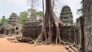 Ta Prohm temple visit, Cambodia