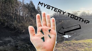 Finding a CRAZY rare fossil in this Mississippi creek!