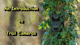 An Introduction to Trail Cameras