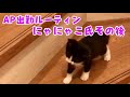 あーペー出勤ルーティンとにゃにゃこ氏のその後
