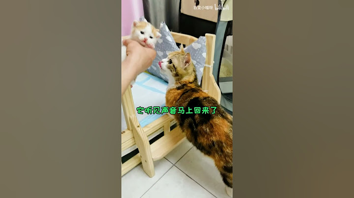 在猫妈妈面前，假装吃掉小奶猫会发生什么？