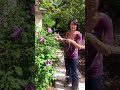How to SPIRITUALLY BOND with Your Garden