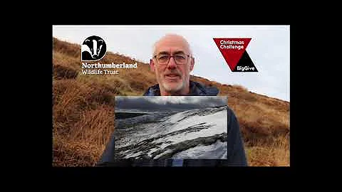 The Big Give Christmas Challenge 2024