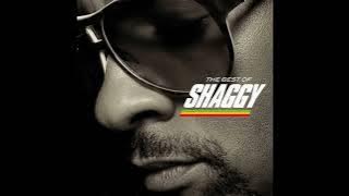 Boombastic - Shaggy (Reggae)