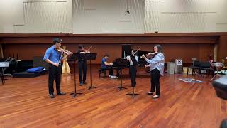 Violin Quartet - Romance Op  43 - Student Symphony Orchestra - Chamber Concert Spring 2024